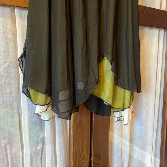 Like new Cynthia Ashby mesh dress - Picture 4 of 4